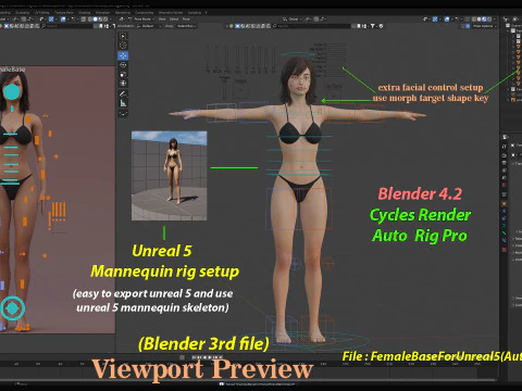 女性基础钻机 3D 模型