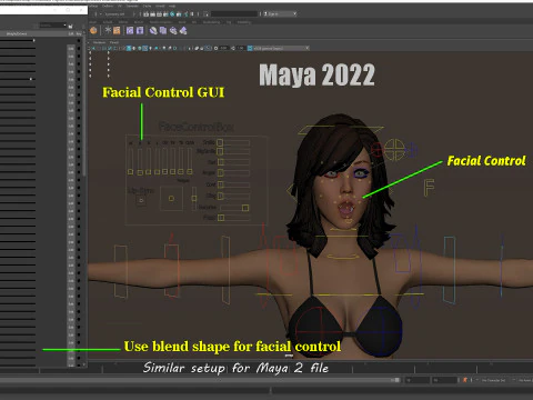 女性基础钻机 3D 模型