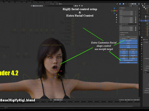 女性基础钻机 3D 模型