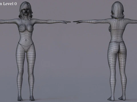 女性基础钻机 3D 模型