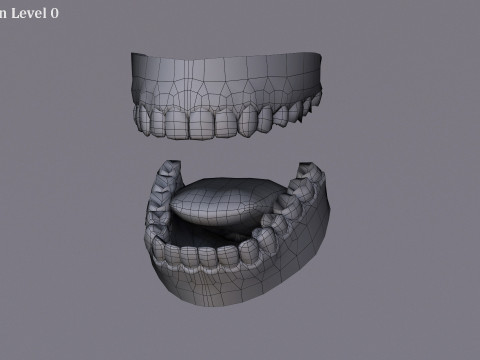 メスベースリグ 3Dモデル
