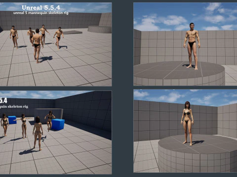 Male Female Base Rig 3D Model