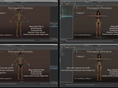 Male Female Base Rig 3D Model