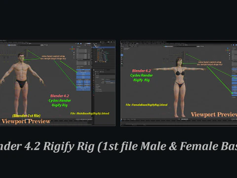 Male Female Base Rig 3D Model