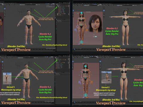 Male Female Base Rig 3D Model