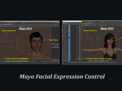 Male Female Base Rig 3D Model