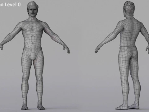 Male Female Base Rig 3D Model
