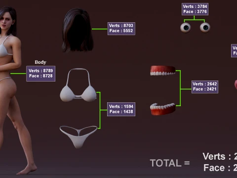 Base femminile Modello 3D