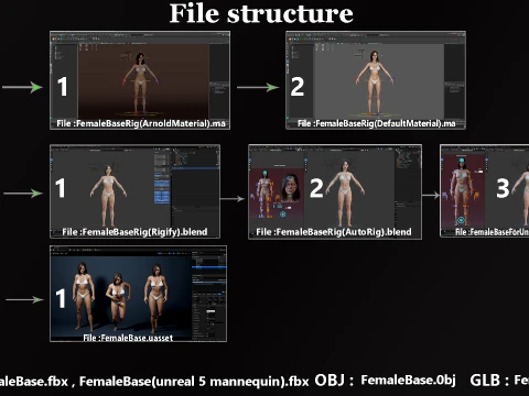 Base femminile Modello 3D
