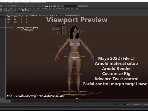 Base femminile Modello 3D