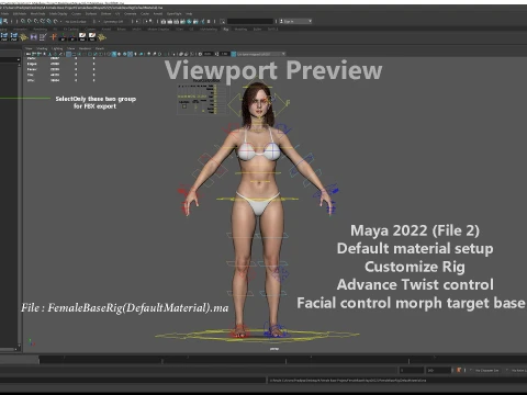 Base femminile Modello 3D