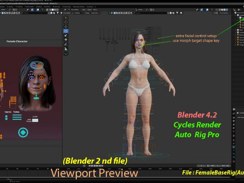 Base femminile Modello 3D