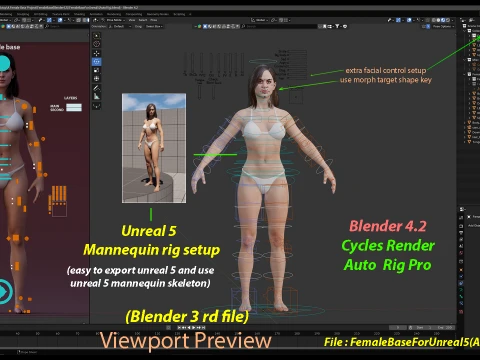 Base femminile Modello 3D
