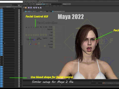 Base femminile Modello 3D