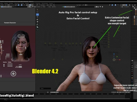 Base femminile Modello 3D
