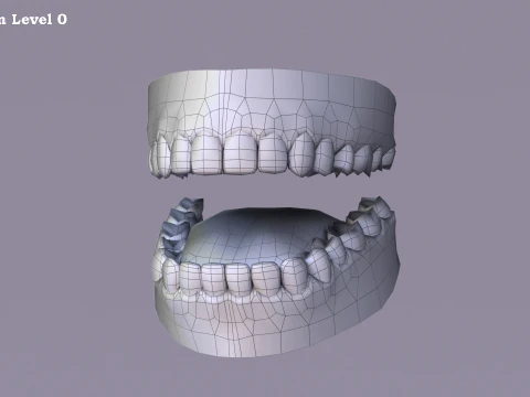 Base femminile Modello 3D