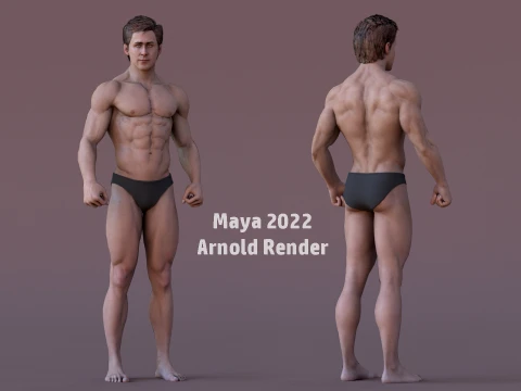 Male Base Rig 3D Model