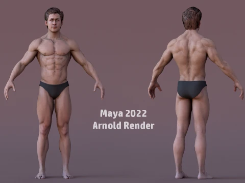 Male Base Rig 3D Model
