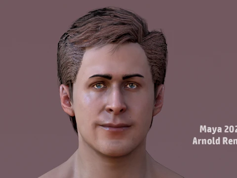 Male Base Rig 3D Model