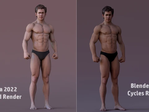 Male Base Rig 3D Model