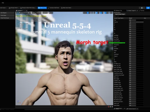 Male Base Rig 3D Model