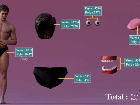 Male Base Rig 3D Model