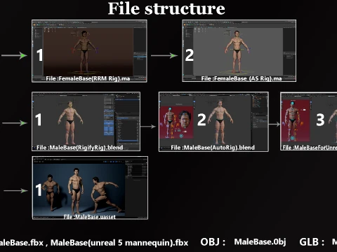 Male Base Rig 3D Model