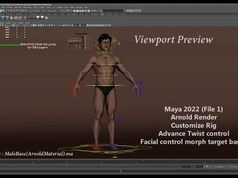 Male Base Rig 3D Model