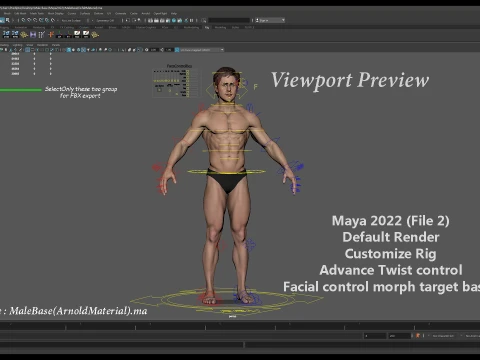 Male Base Rig 3D Model