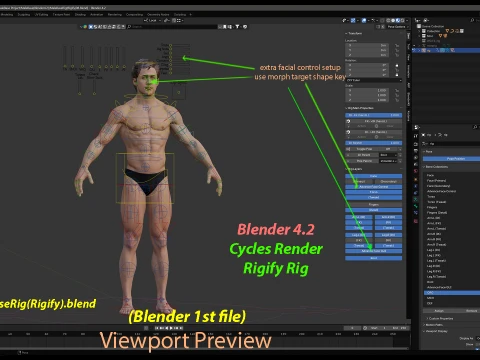 Male Base Rig 3D Model