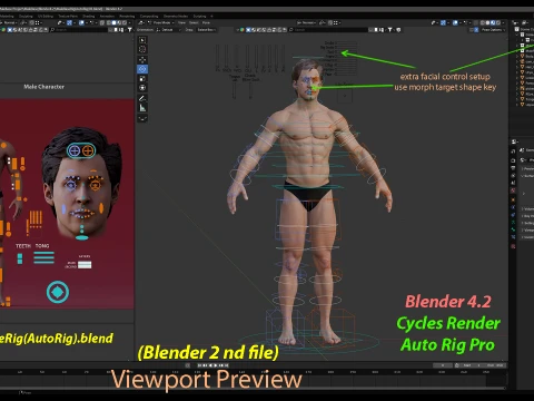 Male Base Rig 3D Model