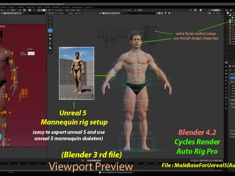 Male Base Rig 3D Model