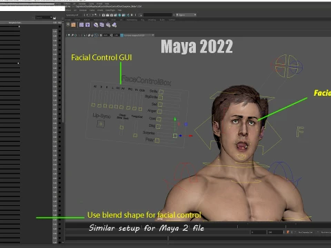 Male Base Rig 3D Model