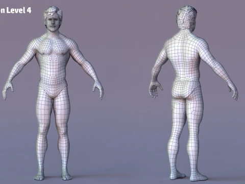 Male Base Rig 3D Model