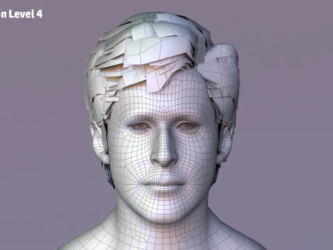 Male Base Rig 3D Model