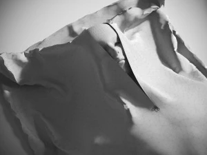 Body Bags Pack 3D Model
