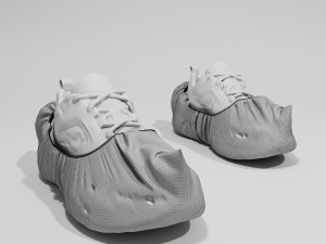 Shoe Cover 3D 模型