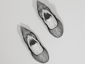 Shoe Cover 3D 模型