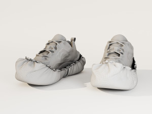 Shoe Cover 3D Model