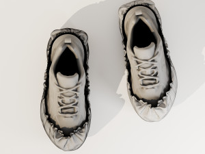 Shoe Cover 3D Model