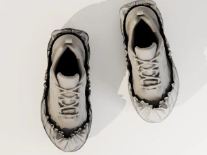 Shoe Cover 3D Model