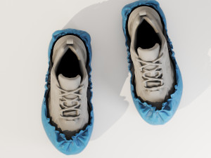 Shoe Cover 3D Model