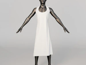 APRON 3D Model