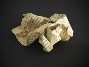 Crumpled paper 3D Model