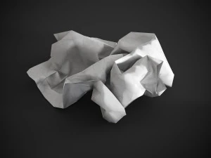 Crumpled paper 3D Model