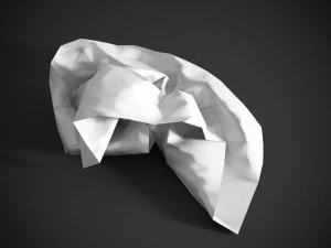 Crumpled paper 3D Model