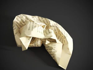 Crumpled paper 3D Model