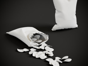 Chips Packaging 3D-Modell