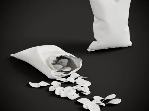 Chips Packaging 3D Model