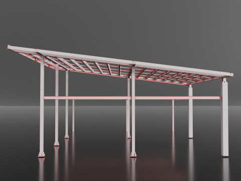 Canopy Model 3D
